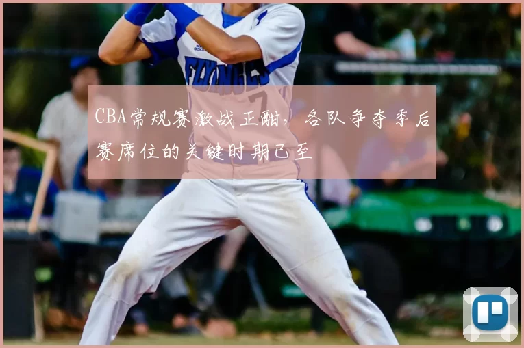 CBA常规赛激战正酣,各队争夺季后赛席位的关键时期已至