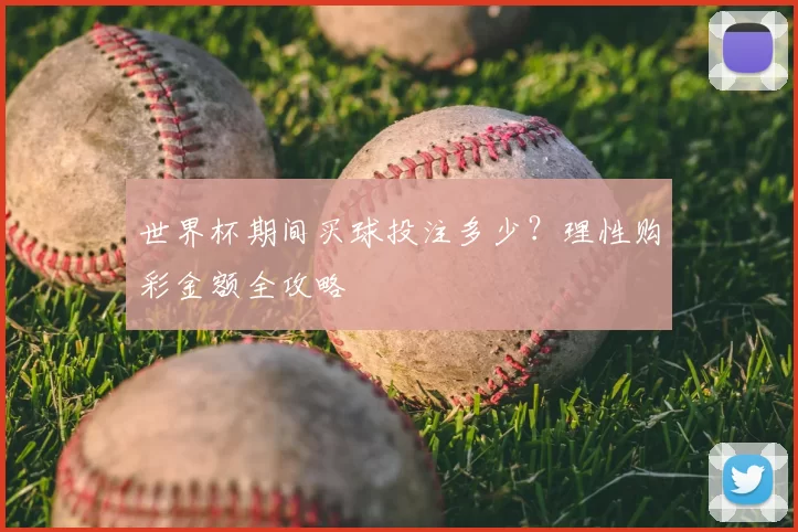 世界杯期间买球投注多少?理性购彩金额全攻略