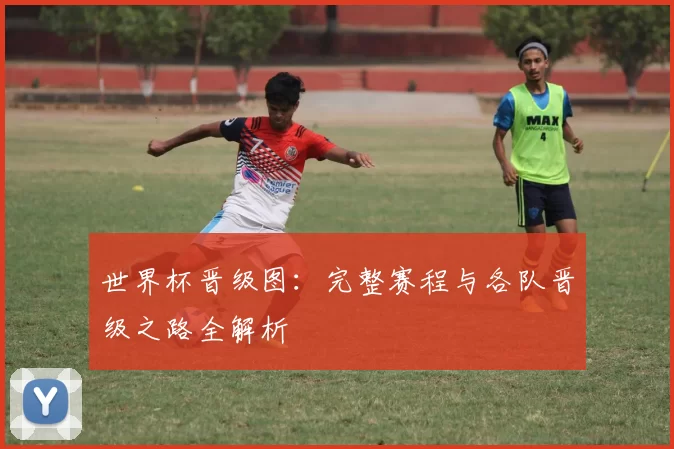 世界杯晋级图:完整赛程与各队晋级之路全解析