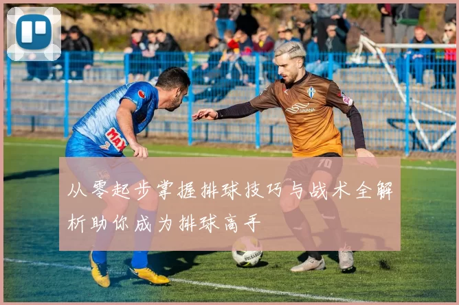 从零起步掌握排球技巧与战术全解析助你成为排球高手