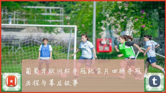 葡萄牙欧洲杯夺冠纪录片回顾夺冠历程与幕后故事