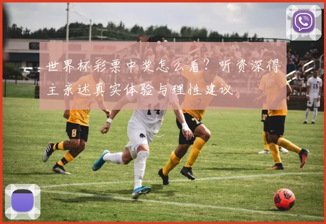 世界杯彩票中奖怎么看？听资深得主亲述真实体验与理性建议