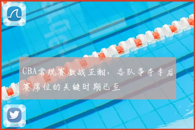 CBA常规赛激战正酣，各队争夺季后赛席位的关键时期已至