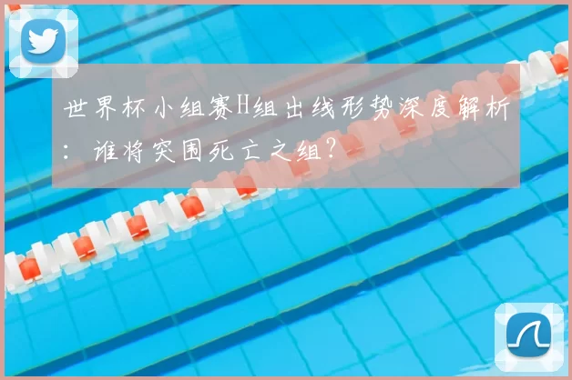 世界杯小组赛H组出线形势深度解析:谁将突围死亡之组?
