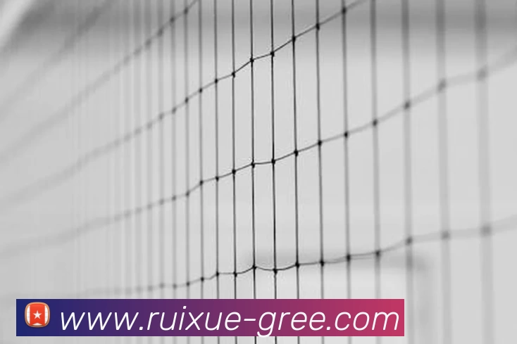 华体会APP 体育赛事宣传图